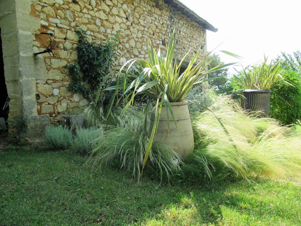 Le Mas Du Fort Gargas  Exteriér fotografie